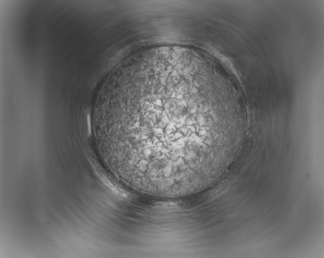 X0000073460061200608111521