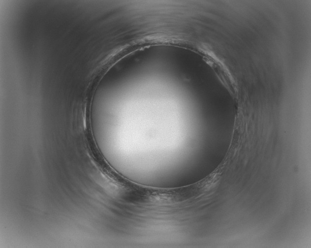 X0000073460062200608111521