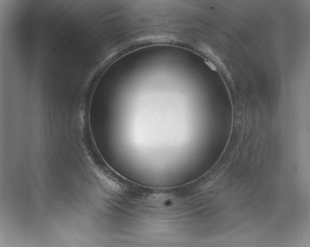 X0000073460063200608111521