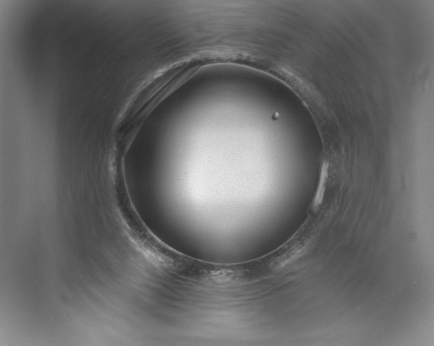 X0000073460064200608111521