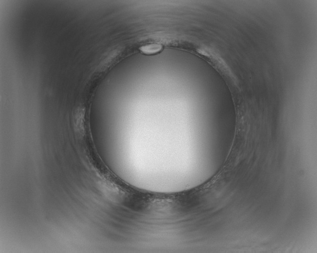 X0000073460066200608111521