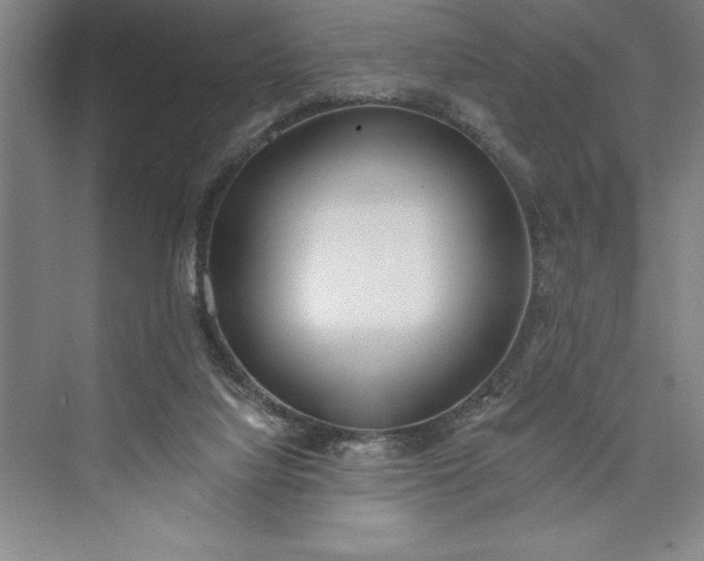 X0000073460068200608111521