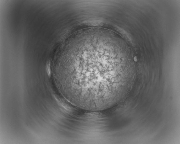 X0000073460069200608111521