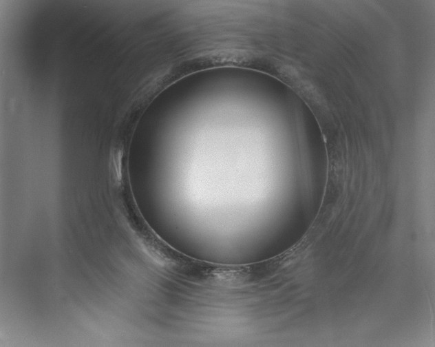 X0000073460070200608111521