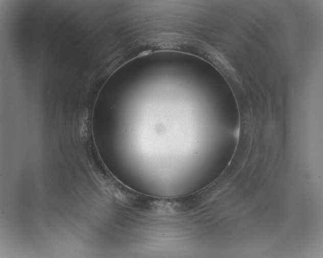 X0000073460073200608111521