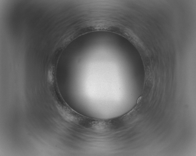 X0000073460074200608111521