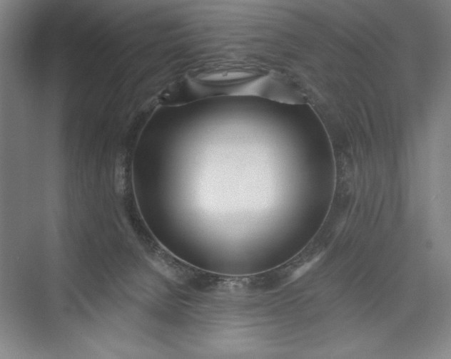 X0000073460080200608111521