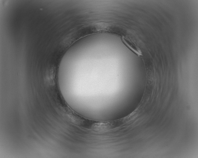 X0000073460082200608111521