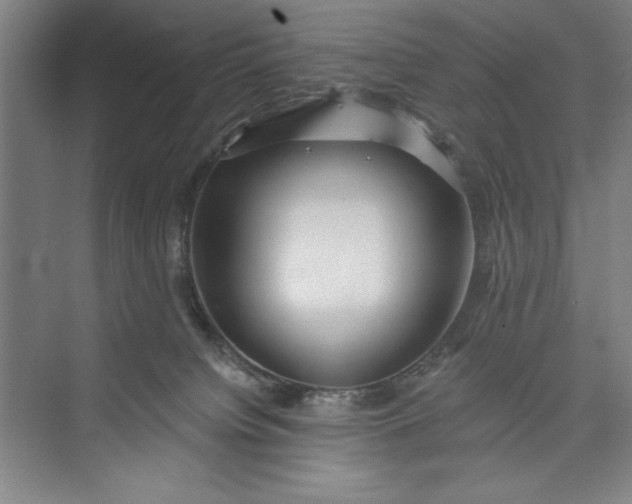 X0000073460084200608111521