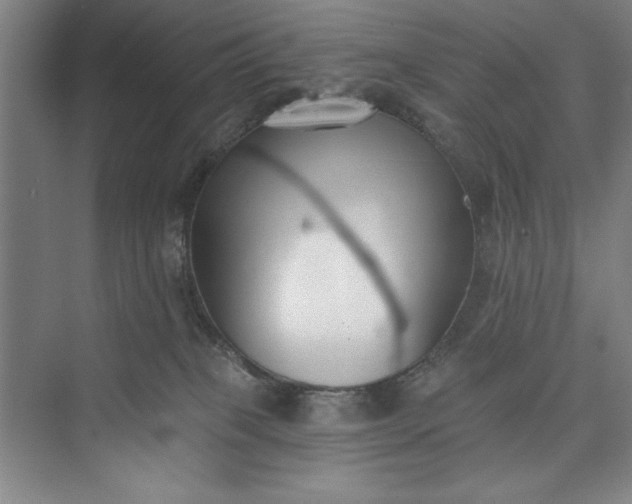 X0000073460085200608111521