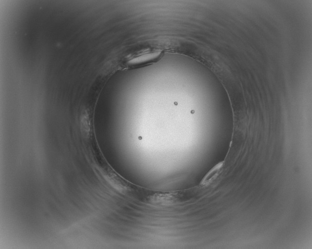 X0000073460086200608111521