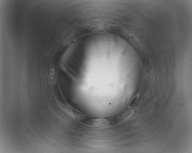 X0000073460087200608111521