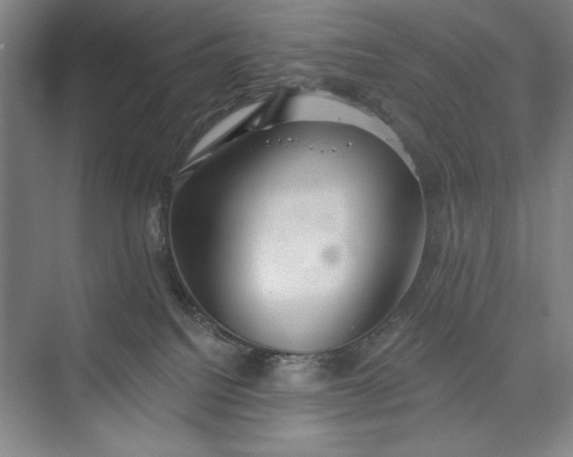 X0000073460088200608111521