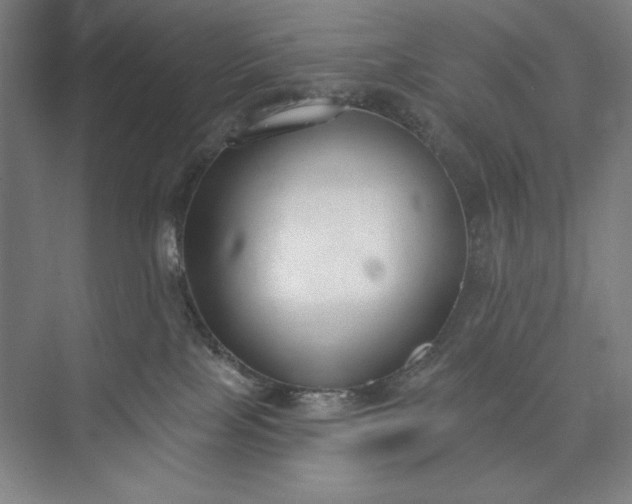 X0000073460089200608111521