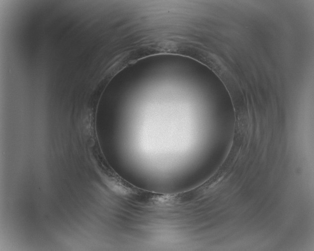 X0000073460092200608111521