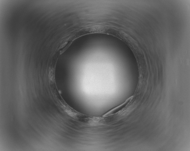 X0000073460096200608111521