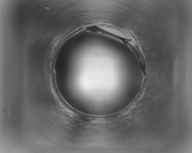 X0000073460097200608111520