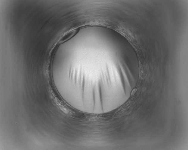 X0000073460098200608111520