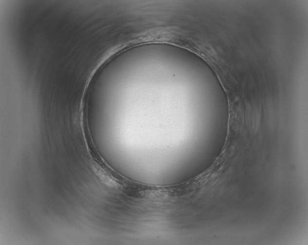 X0000073460100200608111520