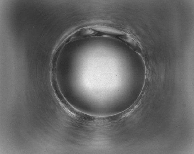 X0000073460101200608111520