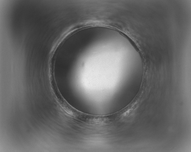 X0000073460103200608111520