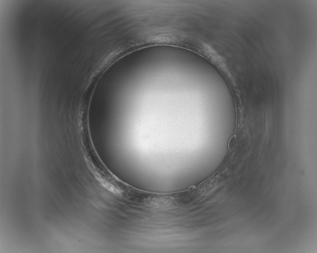 X0000073460106200608111520