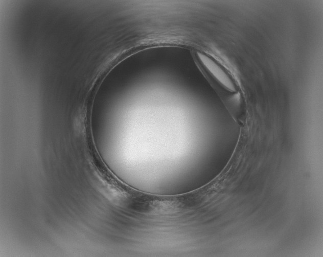 X0000073460107200608111520