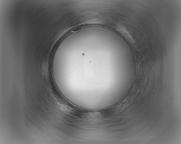 X0000073460108200608111520