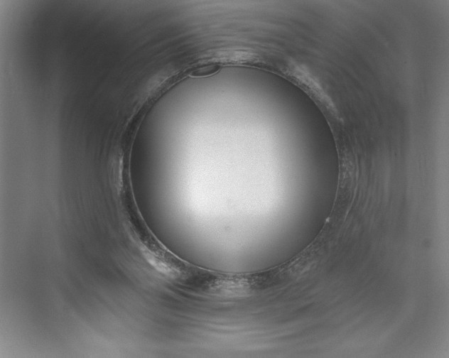 X0000073460110200608111520