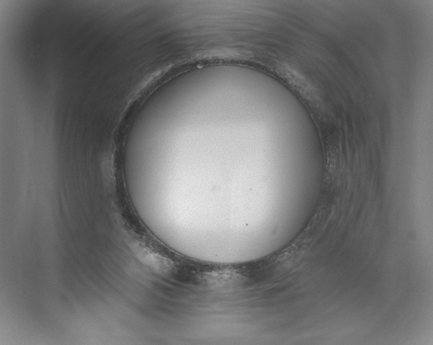 X0000073460112200608111520