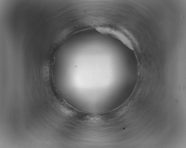 X0000073460113200608111520