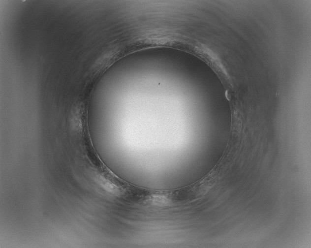 X0000073460114200608111520