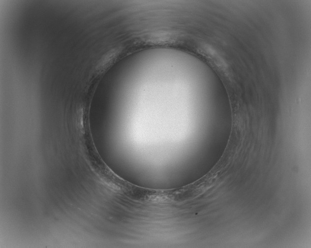 X0000073460115200608111520