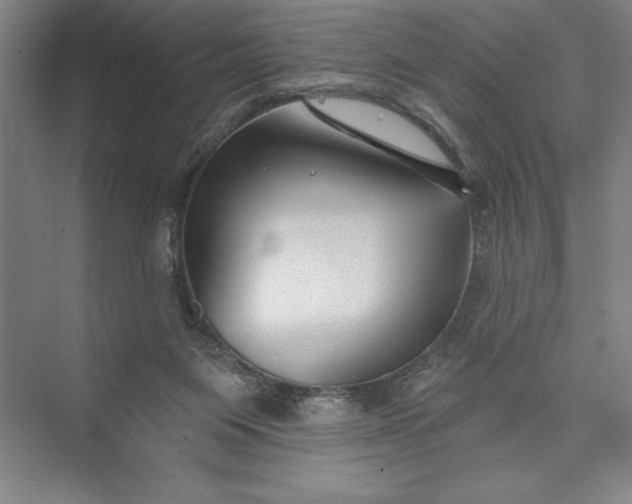 X0000073460119200608111520