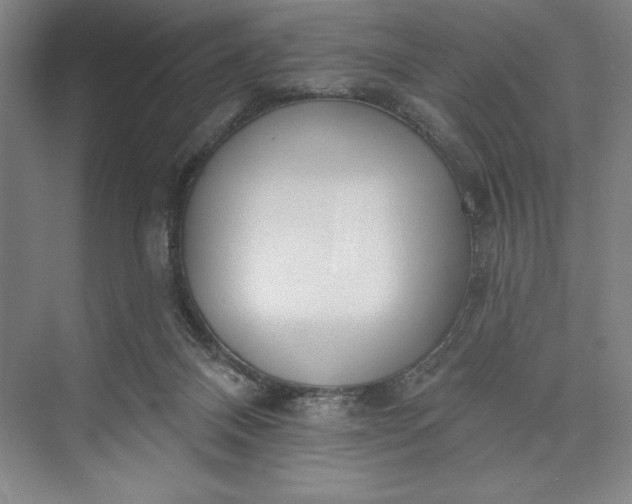 X0000073460120200608111520