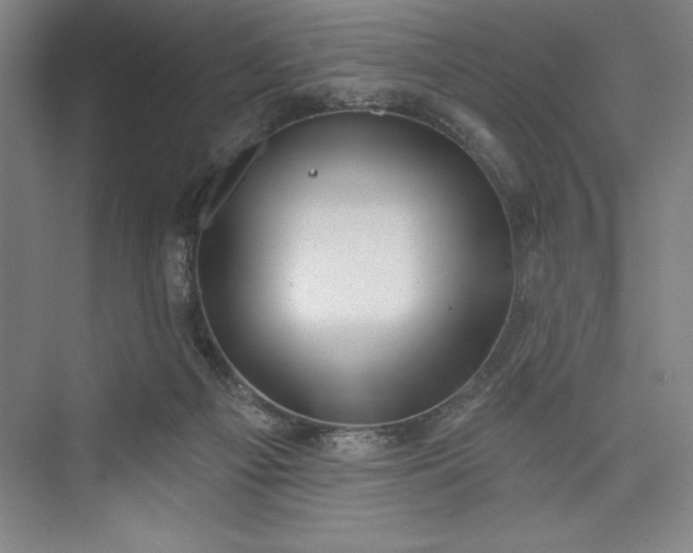 X0000073460121200608111520