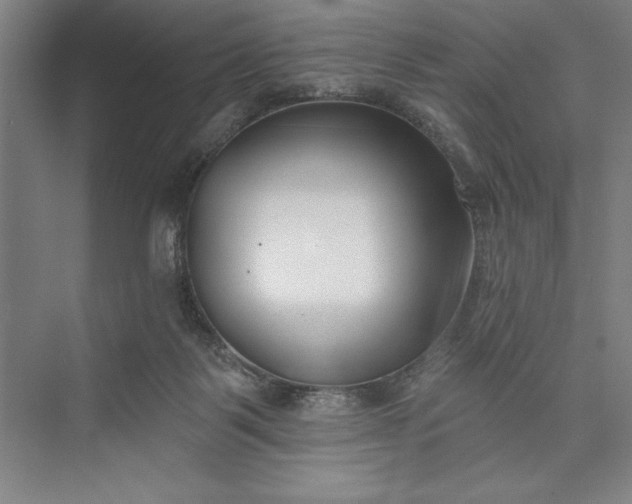 X0000073460123200608111520