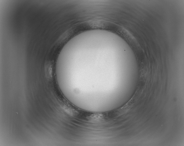 X0000073460124200608111520