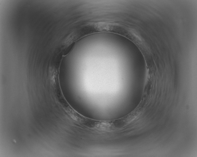 X0000073460125200608111520