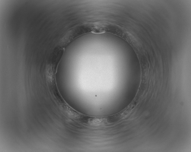 X0000073460129200608111520