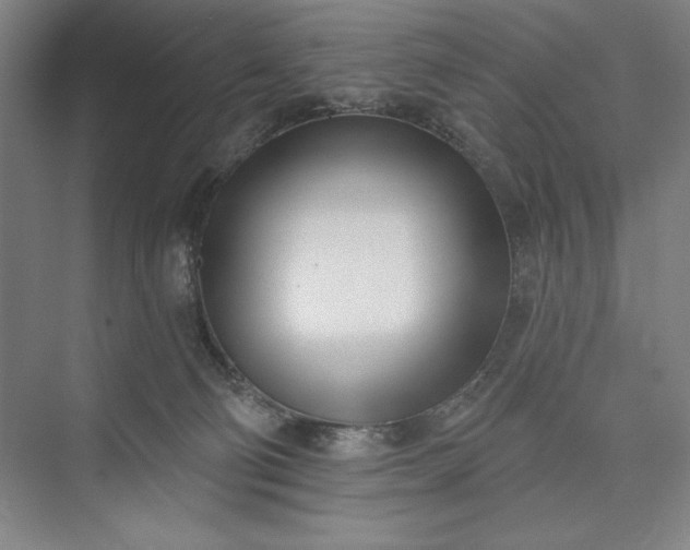 X0000073460130200608111520