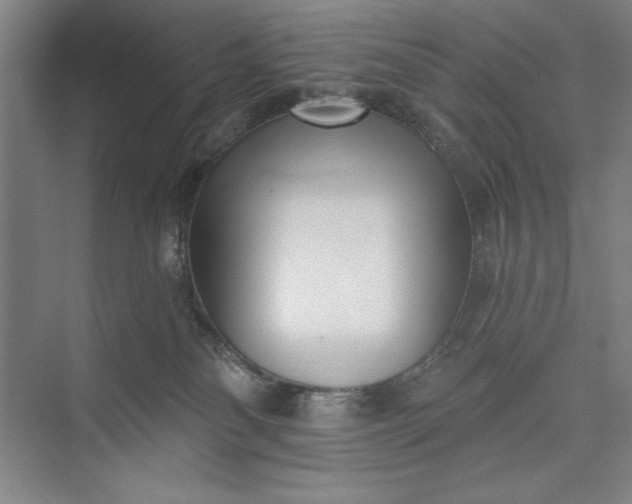 X0000073460134200608111520