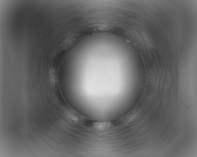 X0000073460135200608111520