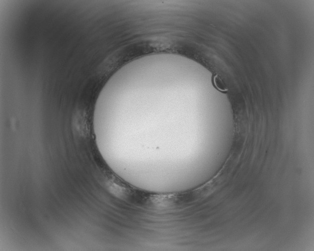 X0000073460136200608111520