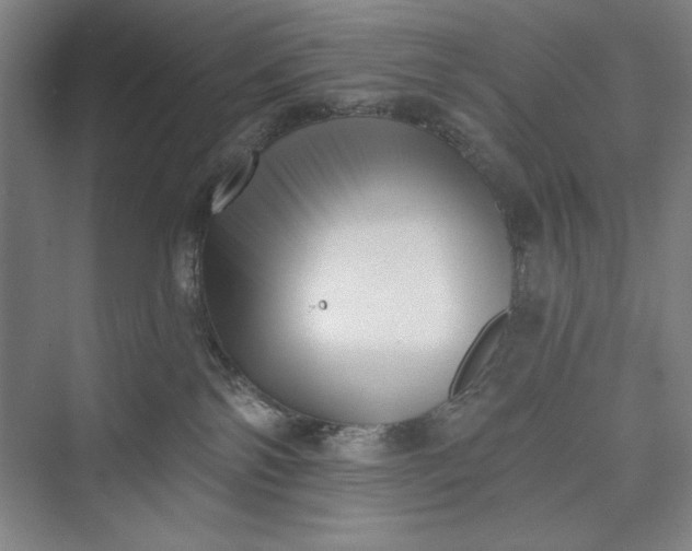 X0000073460138200608111520