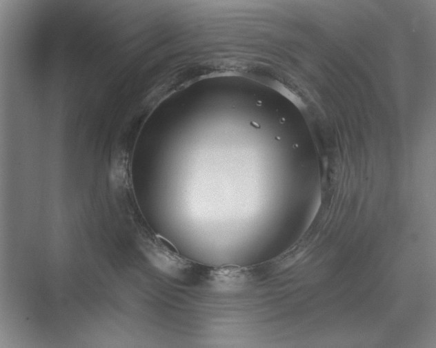 X0000073460141200608111520