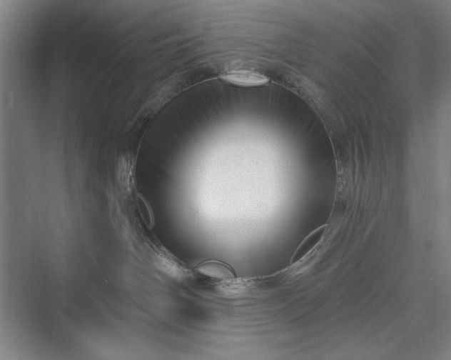 X0000073460142200608111520