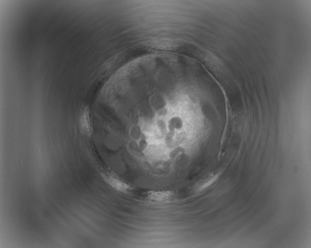 X0000073460143200608111520