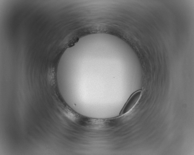 X0000073460144200608111520