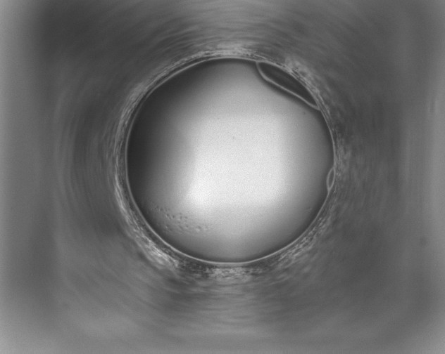 X0000073460145200608111519